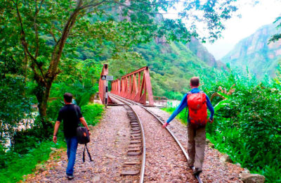 Recorrido Machu Picchu by Car, explorando la selva alta de Machu Picchu desde Cusco. Incluye transporte y hospedaje.